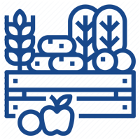 website design