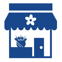 custom website design